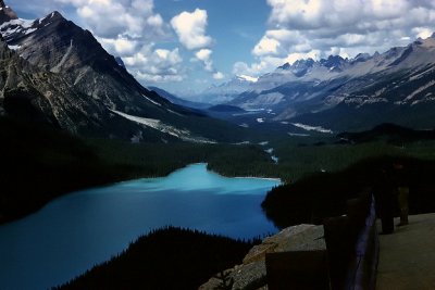 Peyto Lake, Banff, Alberta