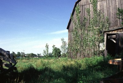 The Farm, Dunville, Ontario - 03