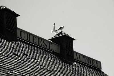 Union Cheese Factory, Upper Canada Village, Morrisburg, Ontario