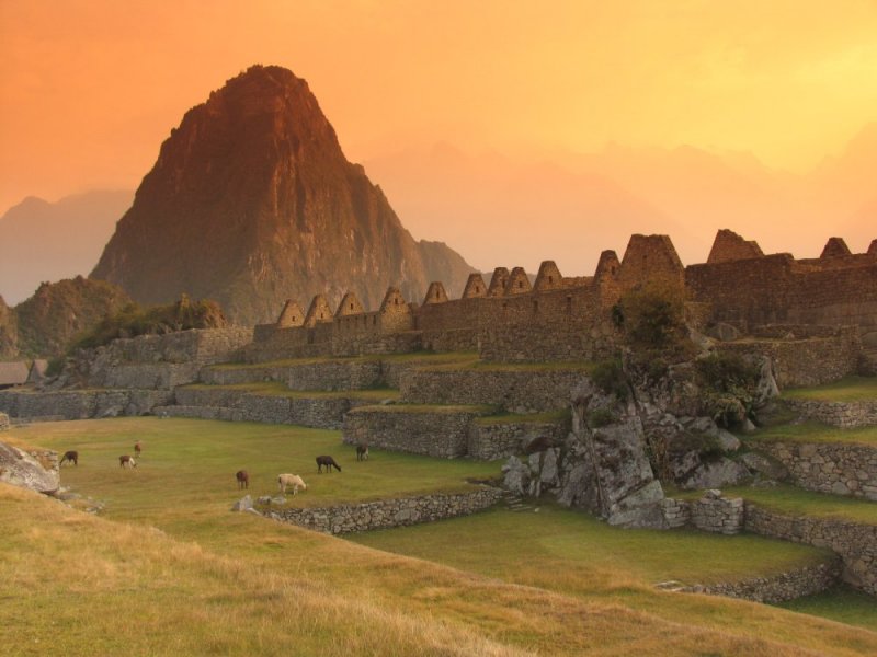Machu Picchu