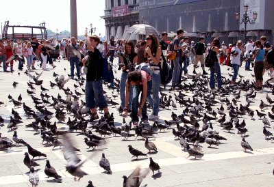 Piazza San Marco