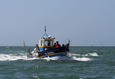Chalutier retour de pêche  - Semaine du Golfe 2007