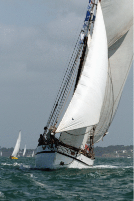 Lola of Skacen P11  - Semaine du Golfe 2007