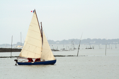 Petite plaisance rivire dAuray - Semaine du Golfe 2007