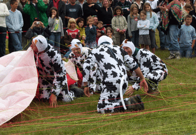 Les vaches - 51