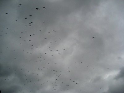 g6/09/799409/3/86159520.j8WZ11f4.jpg