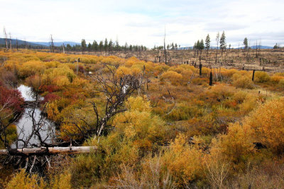 Mt. Hood/Warm Springs Forest Fire