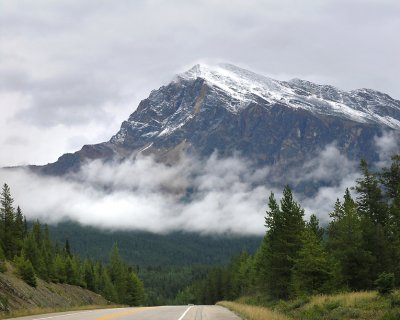 On the Icefields Highway