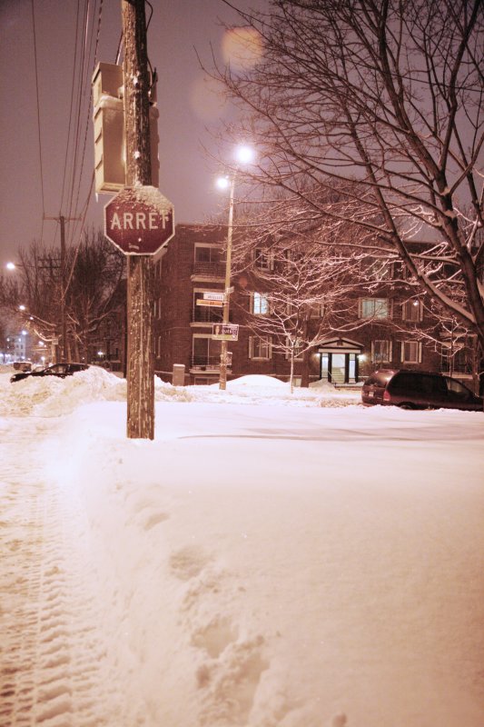 img_2007_03_02_0006.JPG