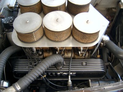 g6/09/9509/3/84511663.6xZbrU4J.jpg
