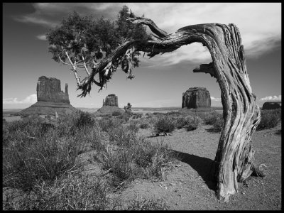 My camera in MONUMENT VALLEY