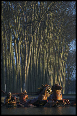 WM-2007-02-04-0092- Versailles - Alain Trinckvel-01 copie.jpg