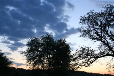 evening 003 Small.jpg