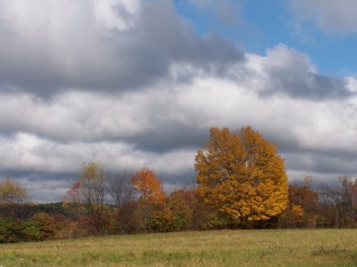 100_3401r.jpg