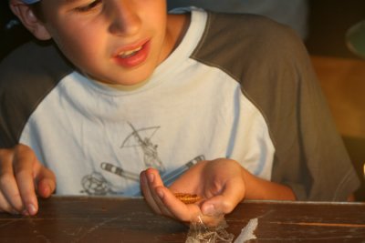 IMG_8880.JPG