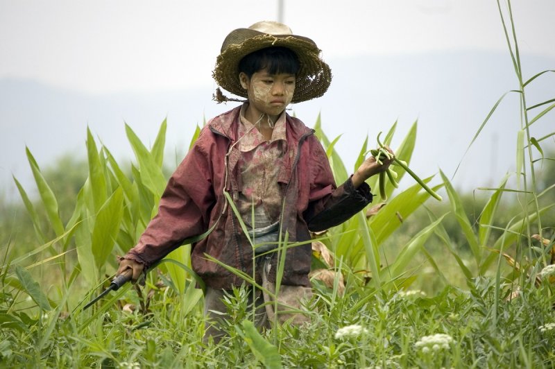 Young farmer, Inle Lake