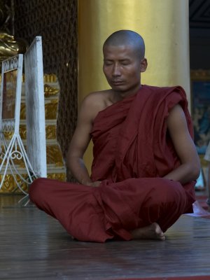 Monk, Swedagon