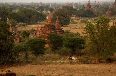 Bagan