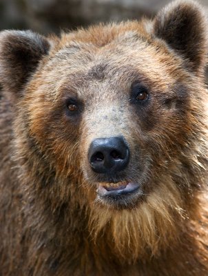 denver_zoo