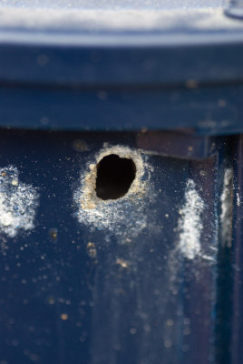 garbage disp hole 2.jpg