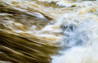 the river.jpg
