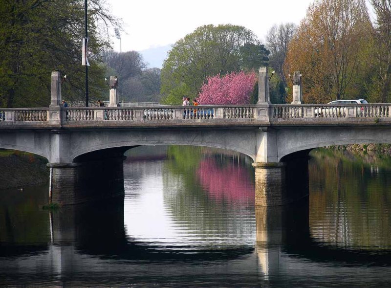 The river Taff