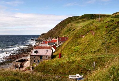 Crovie