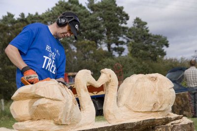 Carve Carrbridge 2007