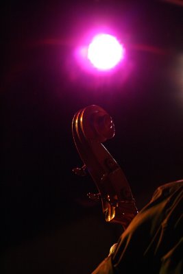 _IMG_6537.jpg