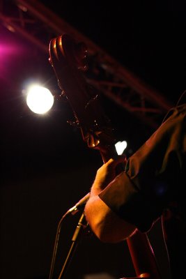 _IMG_6543.jpg