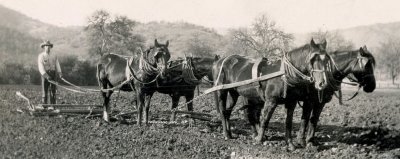 Grandpa and his team