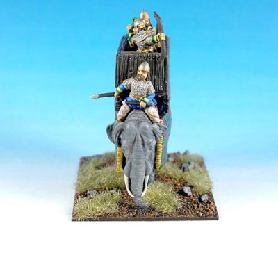 Elephant_front.JPG