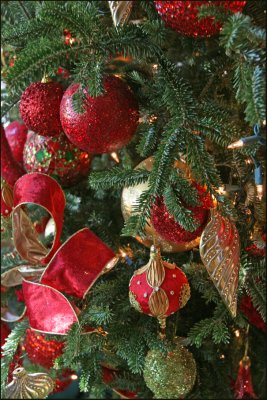 Tree Detail.jpg