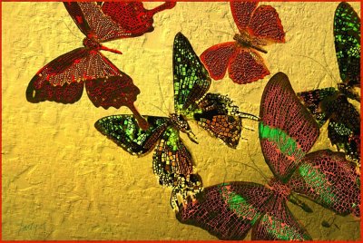 OS-Wk4-Mosaic Butterflies.jpg