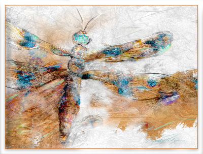 Abstract Dragonfly .jpg