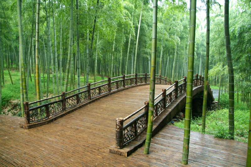 Bamboo deco + bush.jpg
