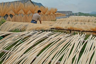 Drying bamboo sticks.jpg