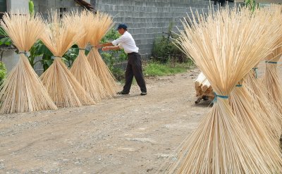 Drying the bamboo sticks.jpg