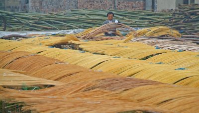 Shredded bamboo process.jpg