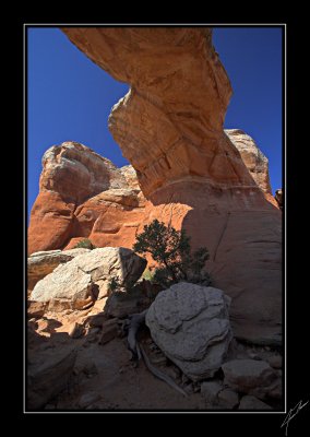 Broken Arch