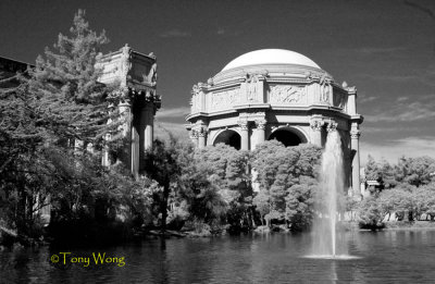 Infrared Images