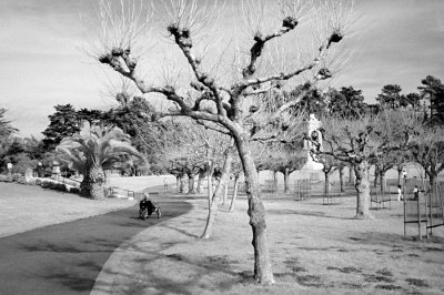 Golden Gate Park