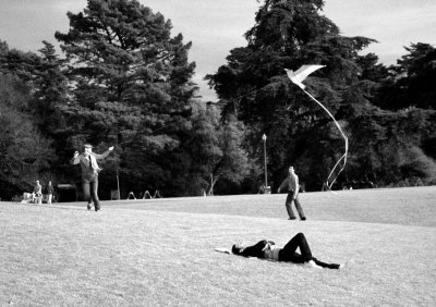 Flying Kites