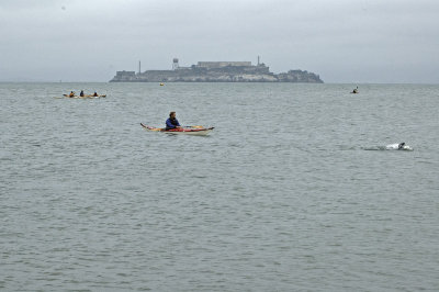 DSC_2773.jpg