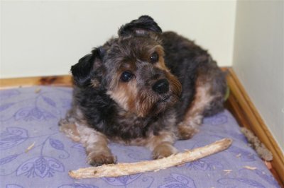 My stick 2.JPG