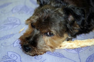 My stick 8.JPG