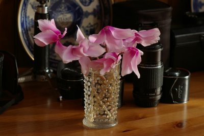 Pentax 50mm 1.7 + 1.7Af adpt.JPG