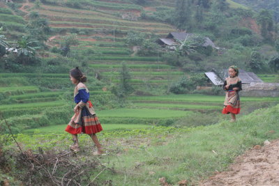 Young Hmong