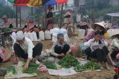 Greens in Bac Ha