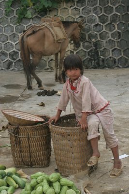 Kid and horse